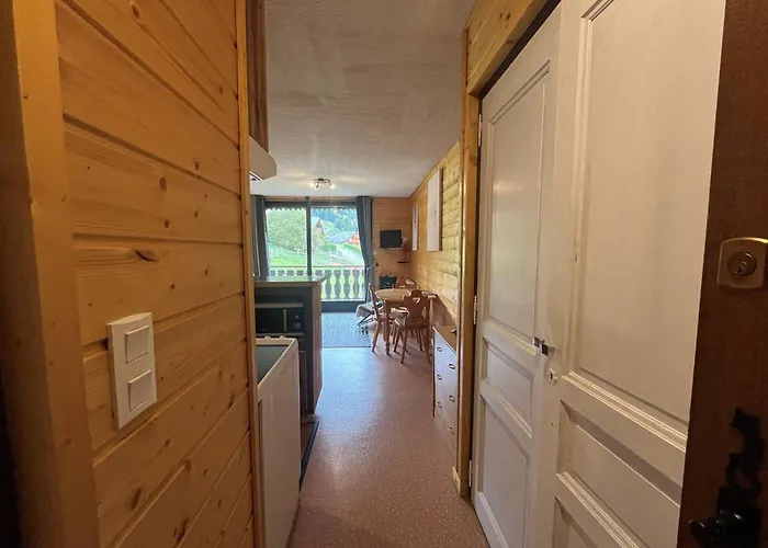 Cosy Avec Balcon Sud Et Parking - Fr-1-198-167 Châtel